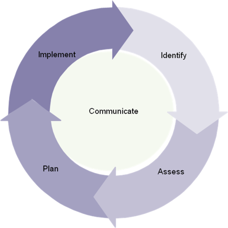 Risk Management Technique Diagram